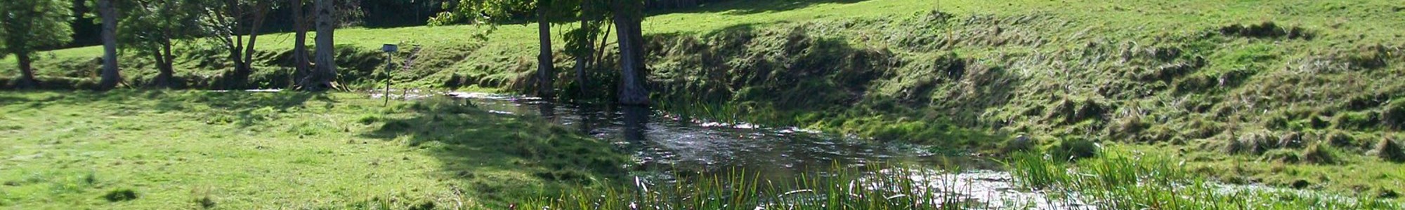 Ringsted Aadal2